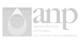 ANP.png